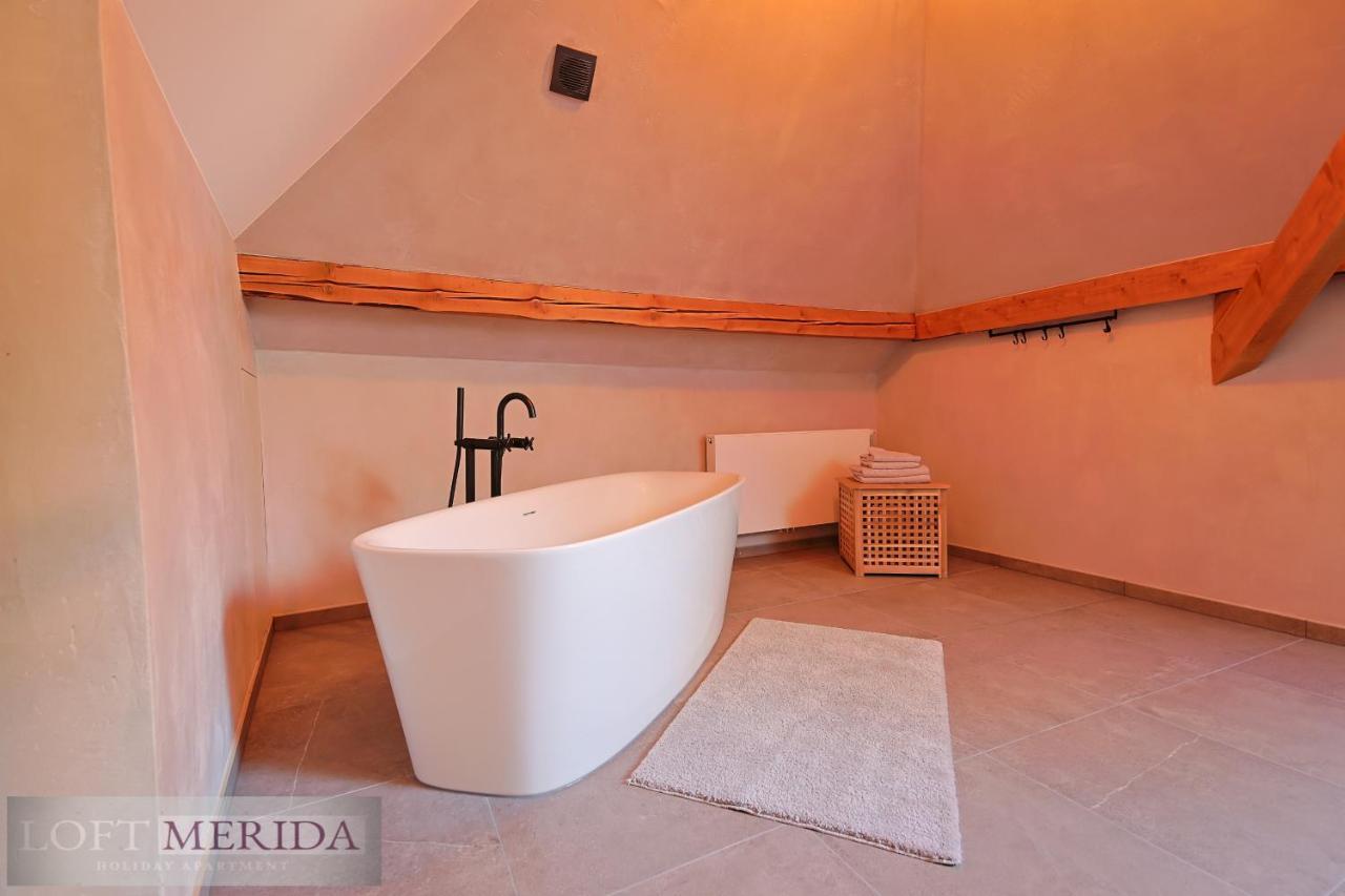 Loft Merida - Designer Apartment With Large Bathtub Bütgenbach Zewnętrze zdjęcie